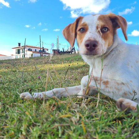 Camping Las Acacias Guatavita Kültér fotó