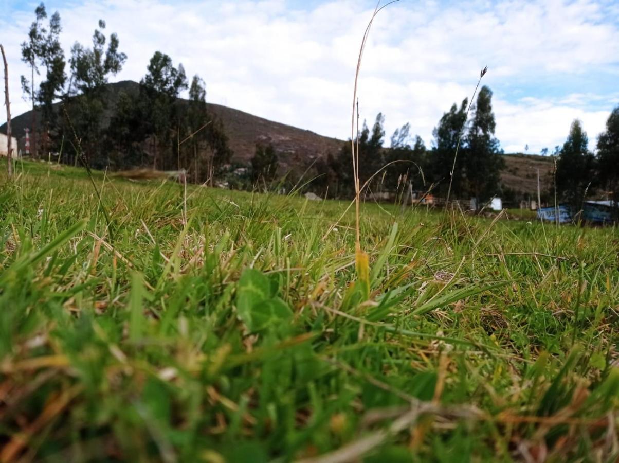 Camping Las Acacias Guatavita Kültér fotó