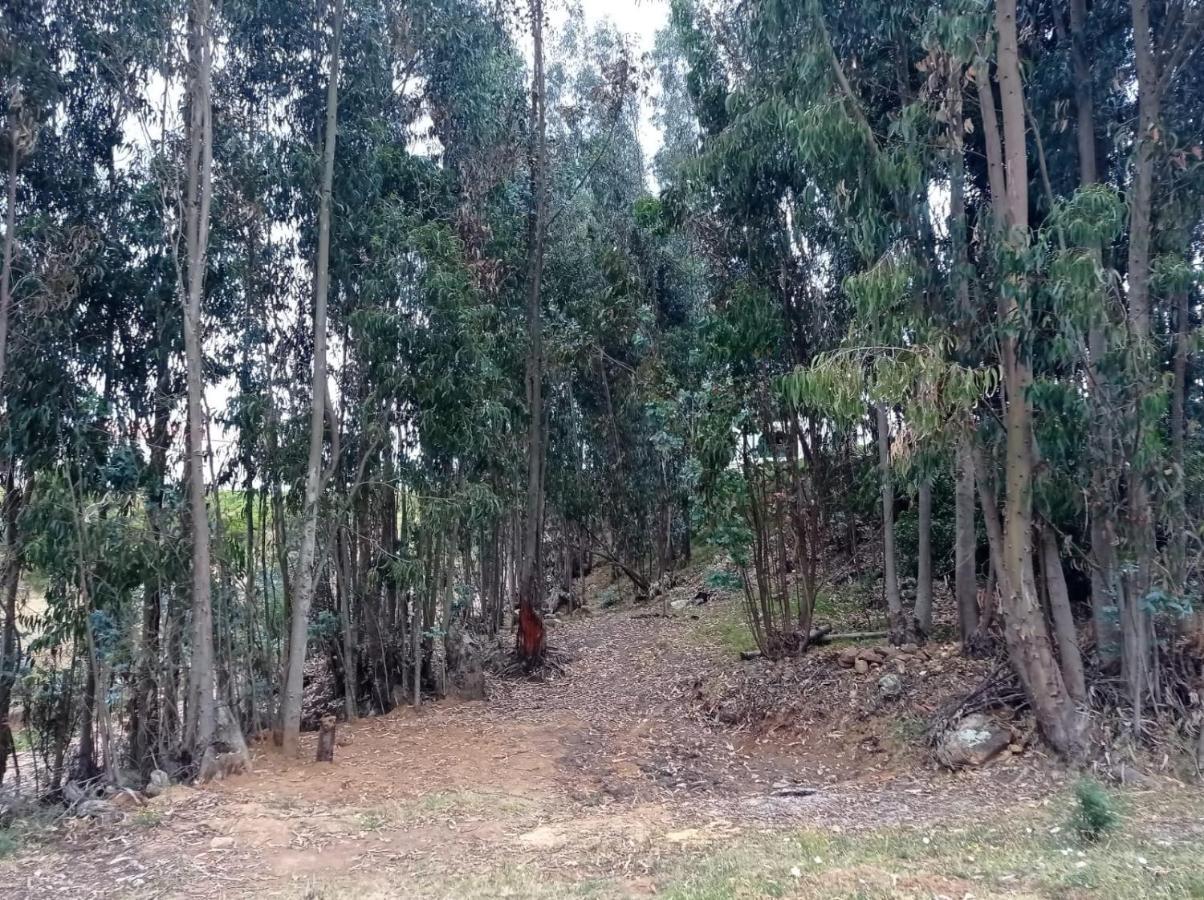 Camping Las Acacias Guatavita Kültér fotó