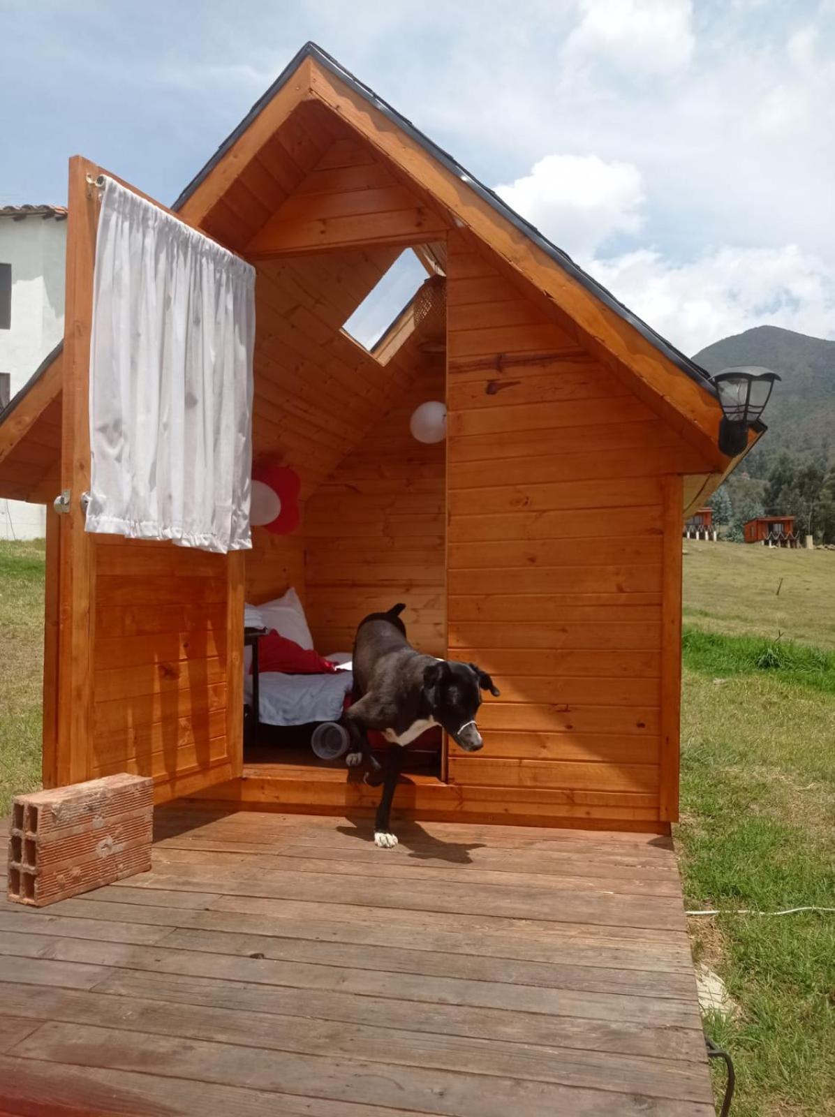 Camping Las Acacias Guatavita Kültér fotó